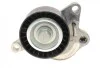 Натяжник ременя генератора Renault Trafic/Megane 2.0dCi/Master 2.3dCi 06-, (65x29.5) UA63 DAYCO APV3179 (фото 6)