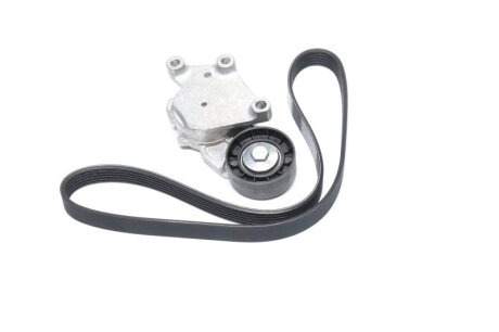 Роликовий модуль натягувача ременя (ролик, ремінь) CITROEN C2/C3/C4 1.4-1.6 2002-/FORD C-MAX/FOCUS/FUSI DAYCO KPV092
