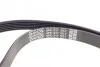 Комплект ременя генератора Opel Astra 09-14/Corsa 1.3 CDTI 06-14 (opt-om) DAYCO KPV292 (фото 3)