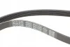 Комплект ременя генератора Peugeot Partner 1.4/1.6 96- (opt-om) DAYCO KPV634 (фото 3)