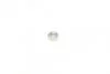 К-т ременя ГРМ (Вир-во) C.I.U DAYCO KTB256 (фото 2)