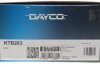 Роликовый модуль натяжителя ремня (ролик, ремень) DAYCO KTB283 (фото 7)