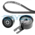 Роликовый модуль натяжителя ремня (ролик, ремень) FIESTA 1.4 TDCI 11.2001 - 09.2008; 206 1.4 HDI 09.20 DAYCO KTB310
