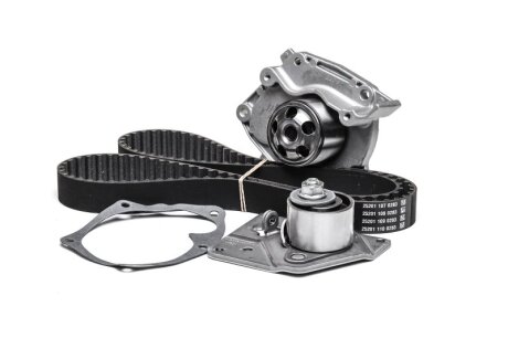 Роликовий модуль натягувача ременя (ролик, ремінь, помпа) RENAULT LAGUNA/TRAFIC 1.9DCI 1999- -ua DAYCO KTBWP4651