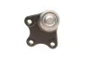 Опора кульова (передня/знизу/ззовні/L) Audi A2/Skoda Fabia/Roomster/VW Polo 99-10 DELPHI UA63 Delphi TC1084 (фото 2)