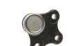 Опора шаровая FIAT/ OPEL/ VAUXHALL GRANDE PUNTO, LINEA/ CORSA D/ CORSA Delphi TC1807 (фото 2)