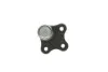 Опора шаровая FIAT/ OPEL/ VAUXHALL GRANDE PUNTO, LINEA/ CORSA D/ CORSA Delphi TC1807 (фото 3)