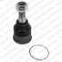 Шарова опора лів/прав (нижн передн) (діаметр конуса 16mm) NISSAN MICRA II 1.0-1.5D 08.92-02.03 Delphi TC2521 (фото 1)