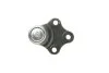 Опора кульова (передня/знизу) Citroen Berlingo/Peugeot Partner 1.8i/1.9D 96-08 DELPHI UA63 Delphi TC420 (фото 2)