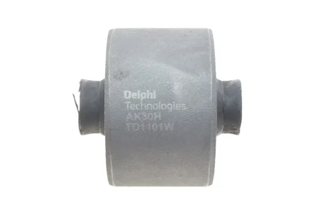 DELPHI Delphi TD1101W