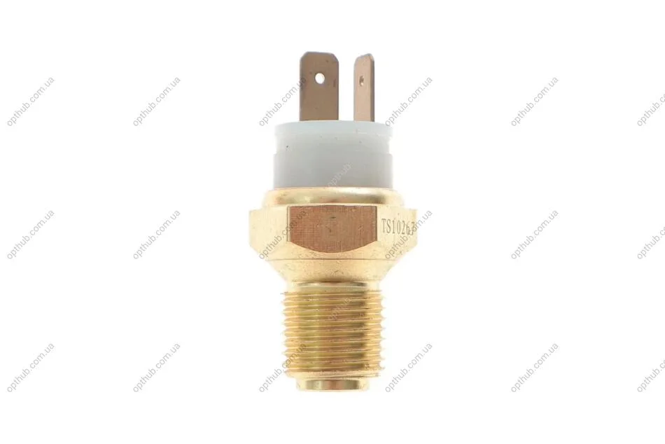 Датчик температури охолоджуючої рідини Delphi TS10267 (фото 1)