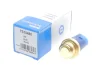 Датчик увімкнення вентилятора охолодження Delphi TS10480 (фото 2)
