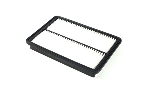 Фільтр повітряний HYUNDAI SANTA FE III 2.2 CRDI 12- Denckermann A142098