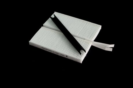 Фільтр салону RENAULT KANGOO II 08- (2шт.) Denckermann M110841