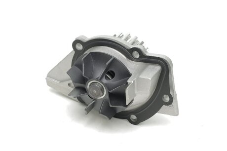 Насос водяний C.I.U DOLZ C120