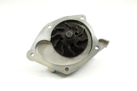 Насос водяний C.I.U DOLZ R219