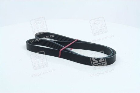 Ремінь поліклін. C.I.U Dongil 5PK1110