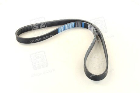 Ремінь поліклін. C.I.U Dongil 5PK925