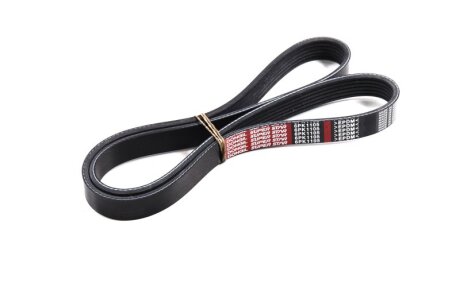 Ремінь поліклін. C.I.U Dongil 6PK1105