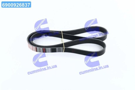 Ремінь поліклін. Dongil 6PK1250