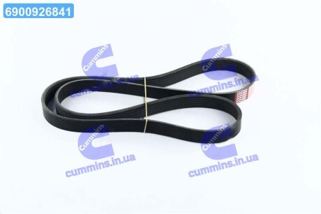 Ремінь поліклін. Dongil 6PK1281