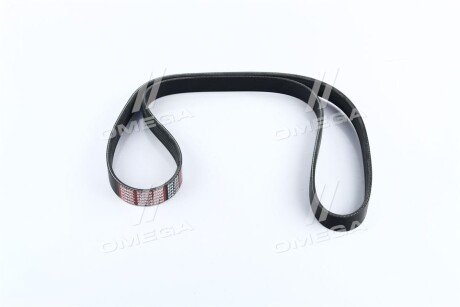 Ремінь поліклін. C.I.U Dongil 6PK1310