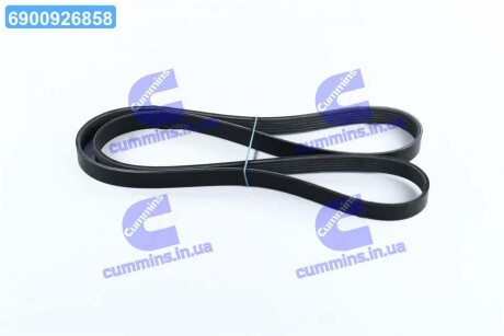 Ремінь поліклин. Dongil 6PK1564