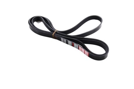 Ремінь поліклін. Dongil 6PK2590