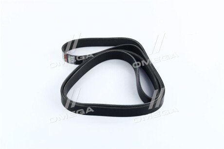 Ремінь поліклін. C.I.U Dongil 7PK2090