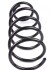 Пружина (передня) Ford Connect 1.8 TDCi 02- DP (opt-om) DP Group SS 8153 (фото 4)