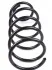 Пружина (передняя) Ford Connect 1.8 TDCi 02- DP (opt-om) DP Group SS 8153 (фото 4)