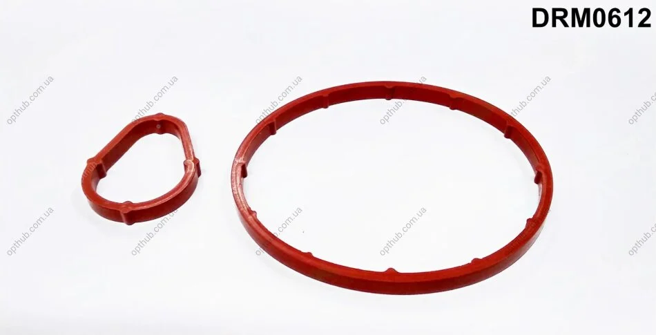 Прокладка резиновая PSA/FORD (SET) C4,FOCUS 1998 - 1,6 TDCI/HDI DR.MOTOR DRM0612 (фото 1)