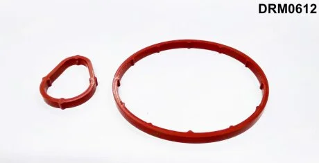Прокладка резиновая PSA/FORD (SET) C4,FOCUS 1998 - 1,6 TDCI/HDI DR.MOTOR DRM0612