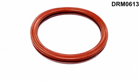 Прокладка гумова DR.MOTOR DRM0613