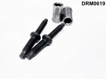 Комплект болтів з головкою системи TORX з чорного металу в наборі з гайками PSA / FORD C4, C5, EXPERT DR.MOTOR DRM0619