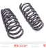 Комплект пружин (передніх) (Pro-Kit) BMW X6 (E71/E72) M 07-14 (2 шт.) (opt-om) EIBACH E10-20-017-04-20 (фото 2)