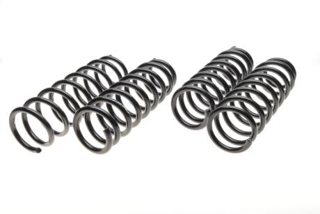 Комплект пружин підвіски EIBACH E10-20-018-01-22