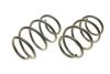 Комплект пружин підвіски EIBACH E10-20-031-04-22 (фото 2)