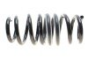 Комплект пружин підвіски EIBACH E10-20-040-03-22 (фото 9)