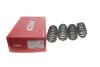 Комплект пружин (Pro-Kit) BMW X5 (G05/F95)/X6 (G06/F96) 3.0D/4.4 B57/N63 18- (4 шт.) (opt-om) EIBACH E10-20-044-02-22 (фото 1)