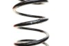 Пружина (задня) Opel Corsa D 1.0-1.4/1.3CDTI 06-14 (opt-om) EIBACH R10351 (фото 2)