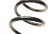 Пружина (задня) VW Golf VII 1.0-1.2 TSI/1.6TDI/2,0TDI 12- (з пост. діаметром) (opt-om) EIBACH R17766 (фото 2)