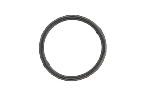 Прокладка насосу масляного Land Rover Discovery Sport/Freelander/Range Rover Evoque 2.0 4x4 1 (opt-om) ELRING 013.640