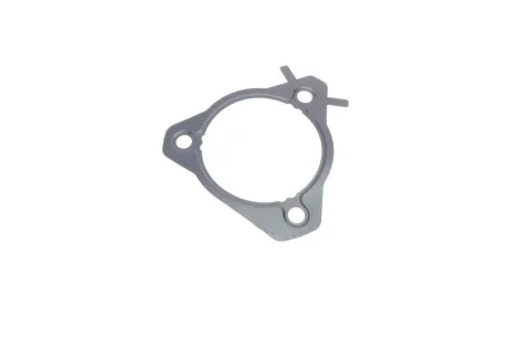 Прокладка насосу паливного Ford Connect 1.8Di/TDCI 02- UA63 ELRING 028.211