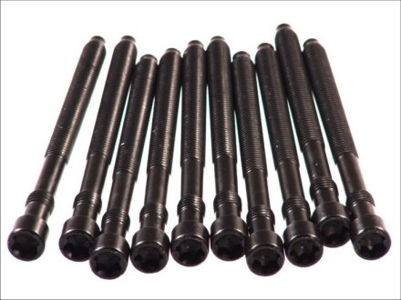 Болти головки (к-кт 10шт.) VW Passat 2.0i 01-05 UA63 ELRING 057.410