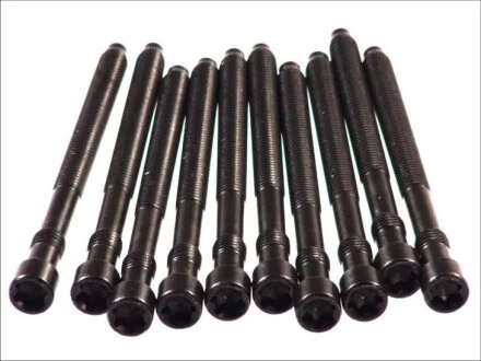 Болти головки (к-кт 10шт.) VW Passat 2.0i 01-05 UA63 ELRING 057.410
