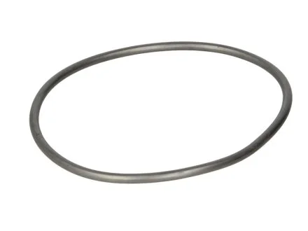 Прокладка помпы воды VW Crafter/LT/T4 2.4/2.5D 88-13 (opt-om) ELRING 091.723