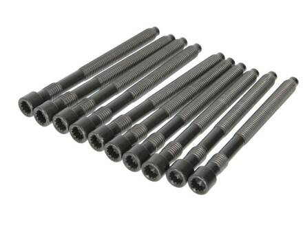 Болти головки (к-кт 10шт.) Audi A4/A6/A8/VW Touareg 3.7/4.2 98-08 UA63 ELRING 215.000