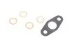 Комплект прокладок турбіни BMW 3 (F30/F80)/5 (F10)/X3 (F25) 10-14 B47/N47 (від 07.2013) (opt-om) ELRING 259.930 (фото 3)