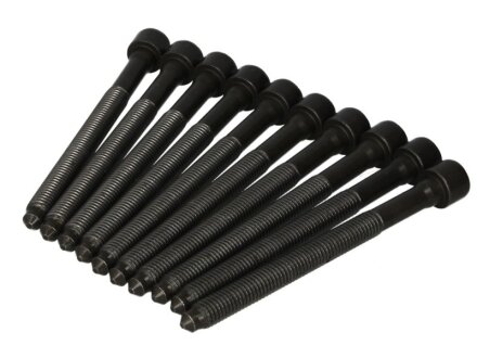 Комплект болтів VAG 1.8TSI/2.0 FSI/TFSI AXX/BGB/BPJ/BUL/BWA/BWE/BWT/BZB ELRING 325.930